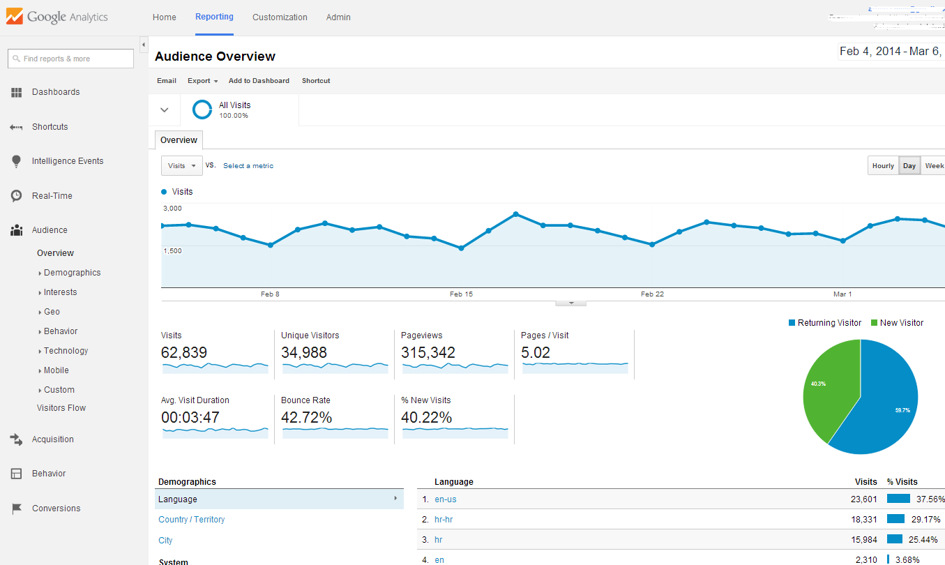 Prikaz "Audience Overview" u Google Analytics