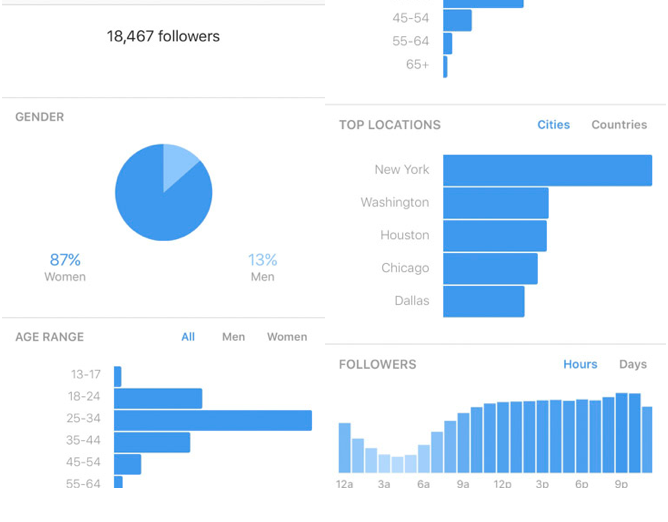 Statistika instagram profila